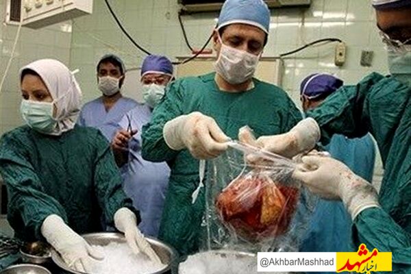 بیمار مرگ مغزی مشهدی نجات‌بخش جان چهار بیمار شد