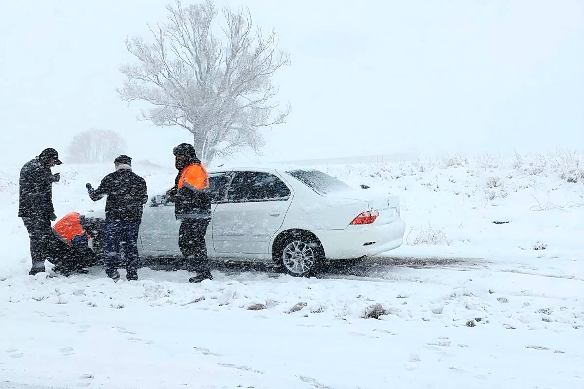 برف و سرما مهمان خراسان رضوی شد