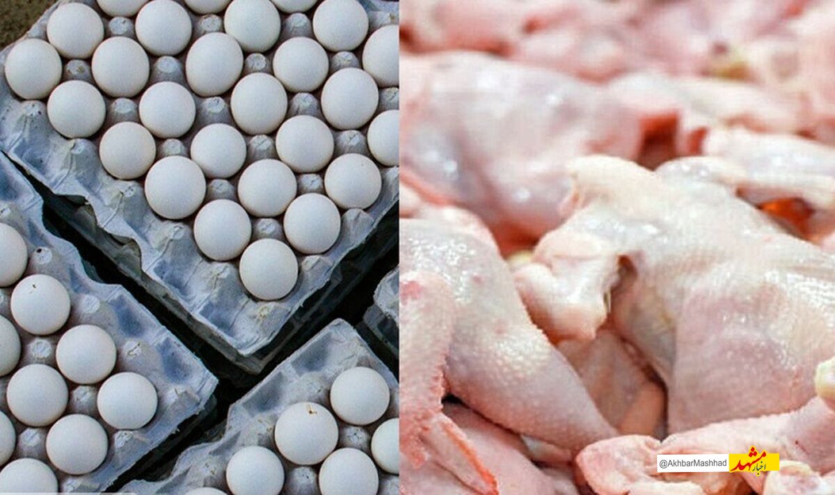 قیمت مرغ در مشهد 125 تا 135 هزار تومان/تخم‌مرغ 92 هزار تومان