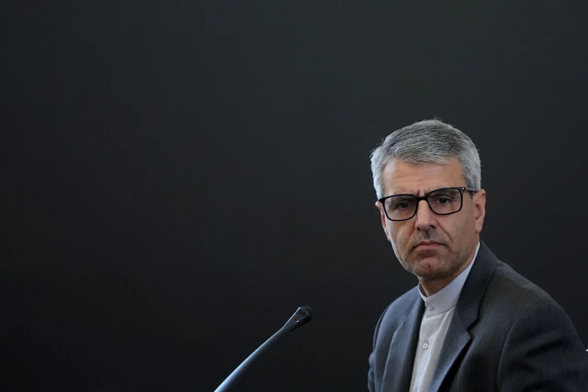 بقائی: ادعای دلسوزی اتحادیه اروپا برای حقوق بشر ایرانیان، ریاکاری محض است