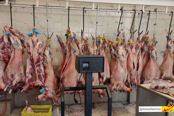 ارزان‌تر بودن قیمت گوشت و مرغ در مشهد نسبت به سایر مناطق کشور