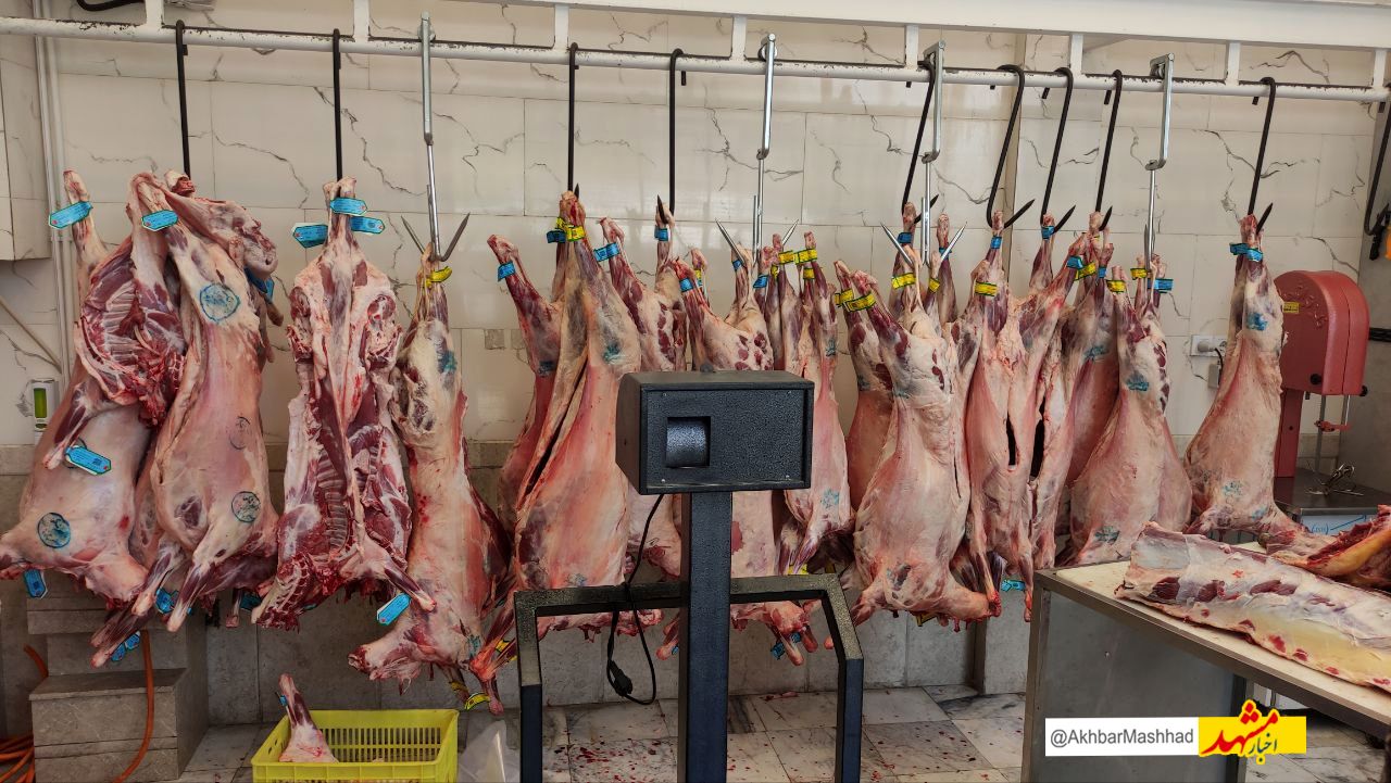 ارزان‌تر بودن قیمت گوشت و مرغ در مشهد نسبت به سایر مناطق کشور