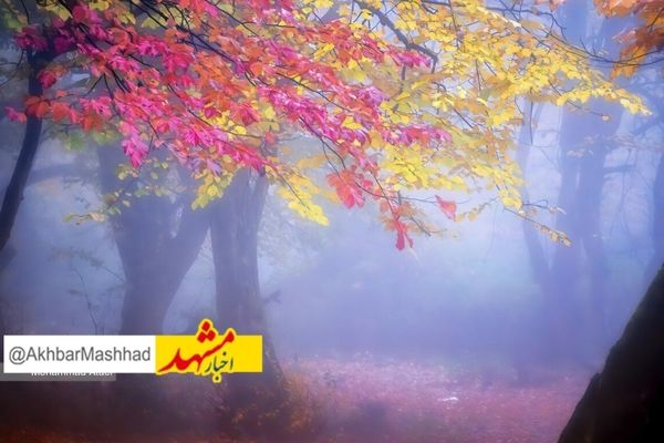 خراسان رضوی حال و هوای پاییزی می‌کیرد