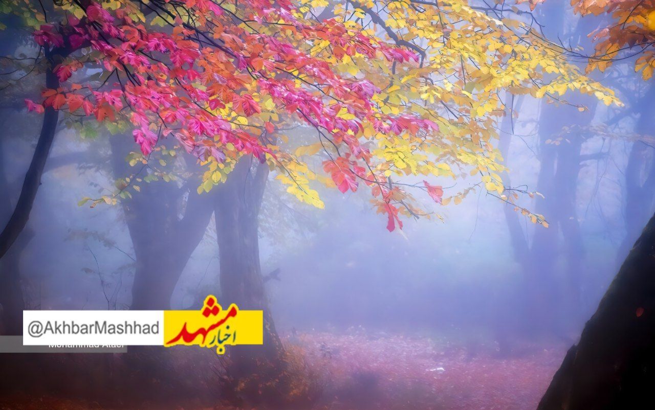 خراسان رضوی حال و هوای پاییزی می‌گیرد