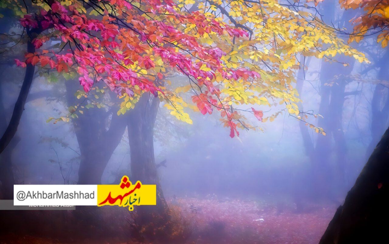 خراسان رضوی حال و هوای پاییزی می‌گیرد
