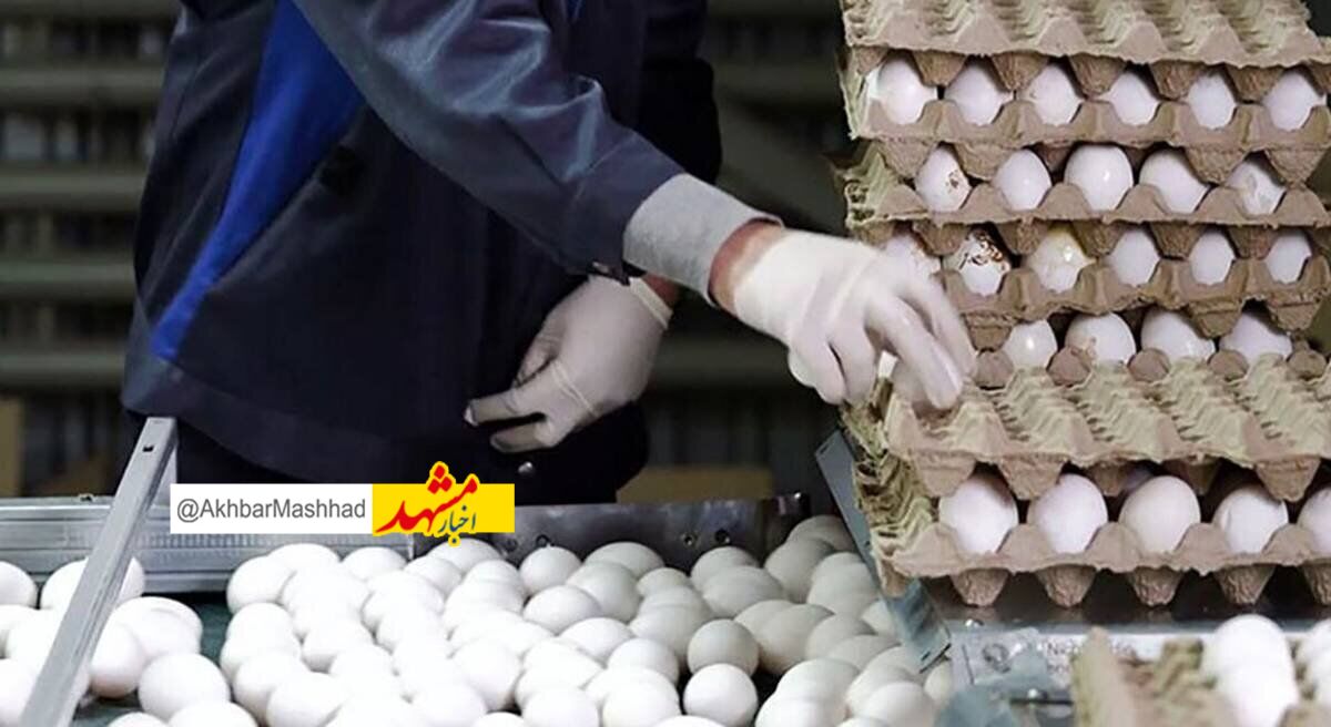 صادرات محصولات دامی از طرقبه شاندیز ۲.۵ برابر شد