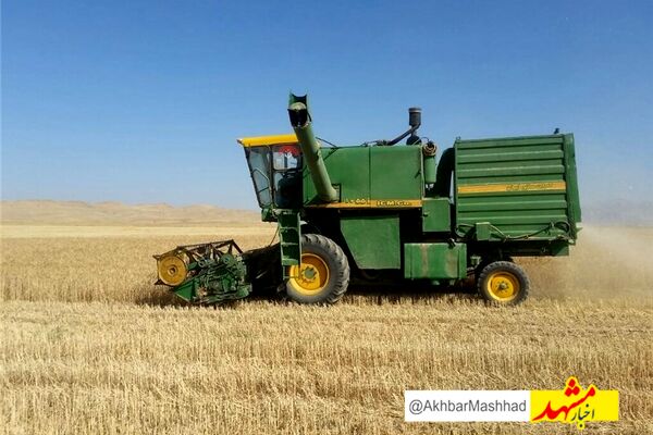خرید تضمینی گندم در خراسان‌رضوی آغاز شد