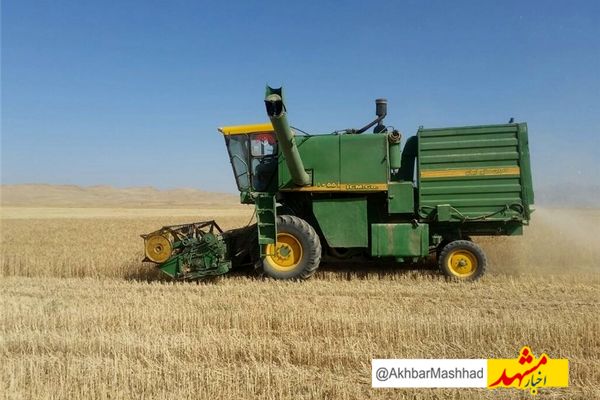 خرید تضمینی گندم در خراسان‌رضوی آغاز شد