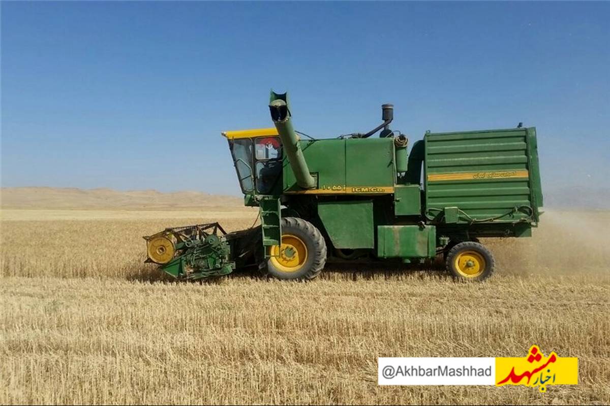 خرید تضمینی گندم در خراسانرضوی آغاز شد