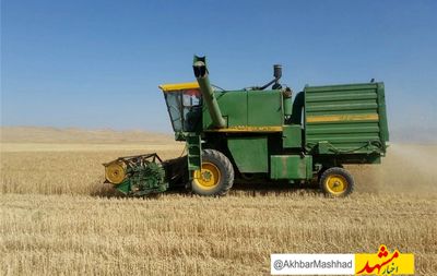 خرید تضمینی گندم در خراسان‌رضوی آغاز شد