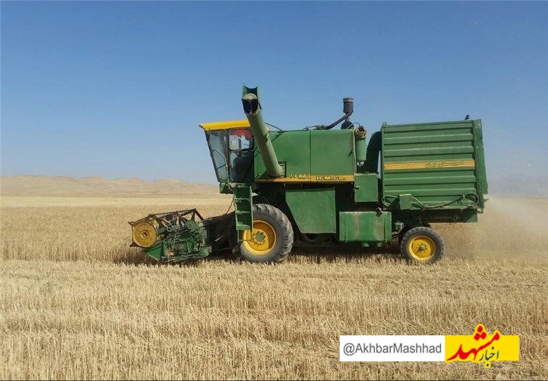 خرید تضمینی گندم در خراسان‌رضوی آغاز شد