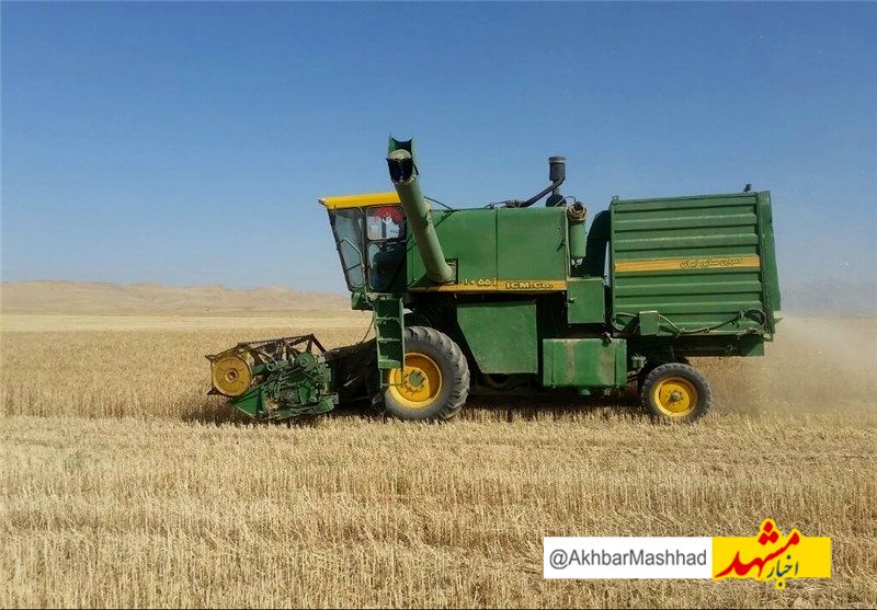 خرید تضمینی گندم در خراسان‌رضوی آغاز شد