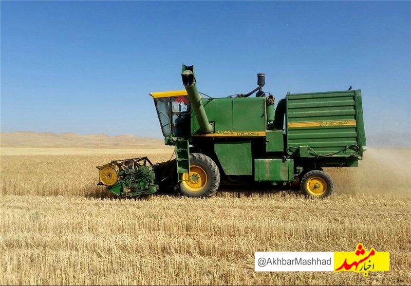 خرید تضمینی گندم در خراسان‌رضوی آغاز شد