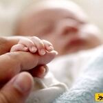 تولد نوزاد عجیب‌الخلقه با دو سر /پزشکان از دیدن نوزاد حیرت کردند + عکس