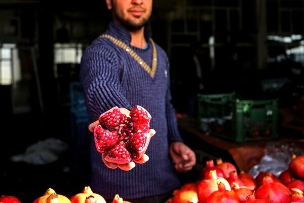 قیمت میوه یلدایی در میادین تره بار مشهد اعلام شد (۲۹ آذر) | خرده فروشان مجاز به افزایش ۲۰ تا ۳۰ درصدی قیمت‌ها هستند