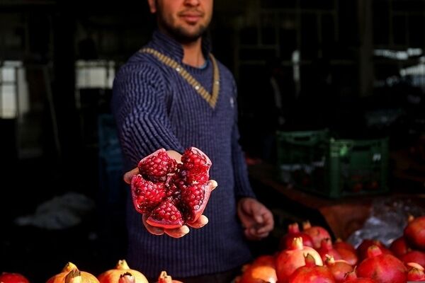 قیمت میوه یلدایی در میادین تره بار مشهد اعلام شد (۲۹ آذر) | خرده فروشان مجاز به افزایش ۲۰ تا ۳۰ درصدی قیمت‌ها هستند