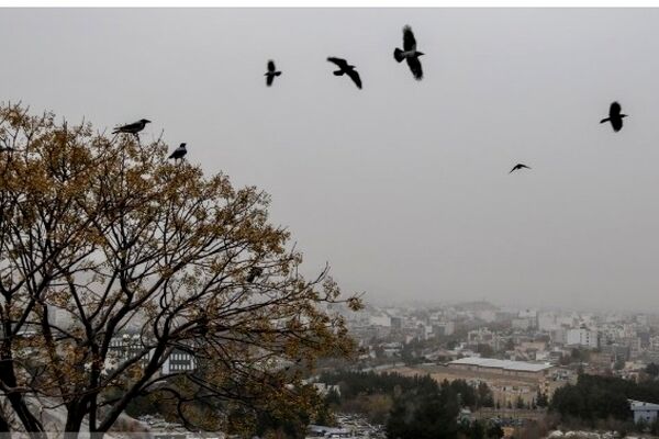 پیش‌بینی هواشناسی مشهد و خراسان رضوی امروز (پنجشنبه، ۱۴ اسفند ۱۴۰۴) | افزایش نسبی دمادر روز‌های ابتدای هفته آینده