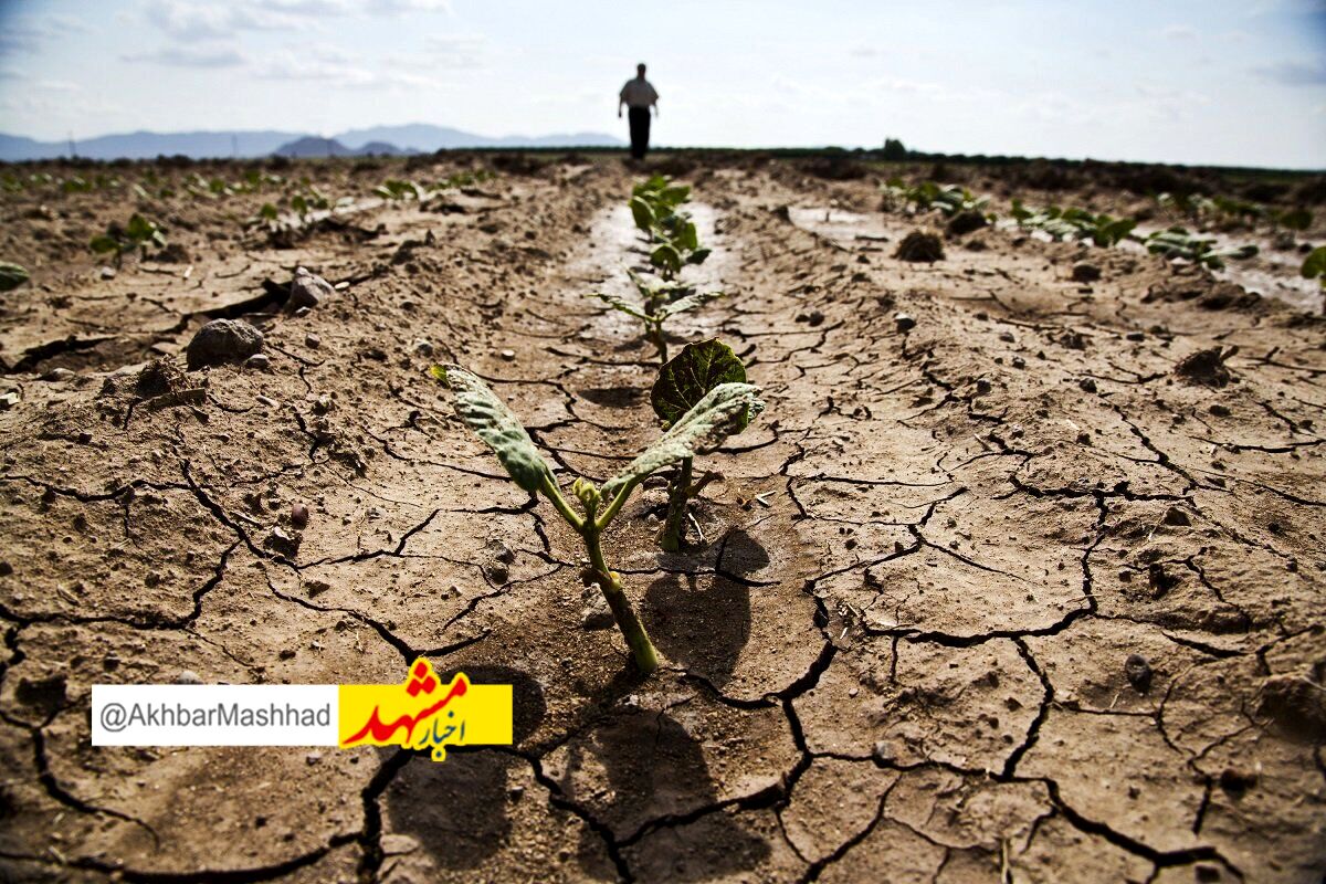 مشهد در وضعیت خشکسالی بسیار شدید قرار گرفته است