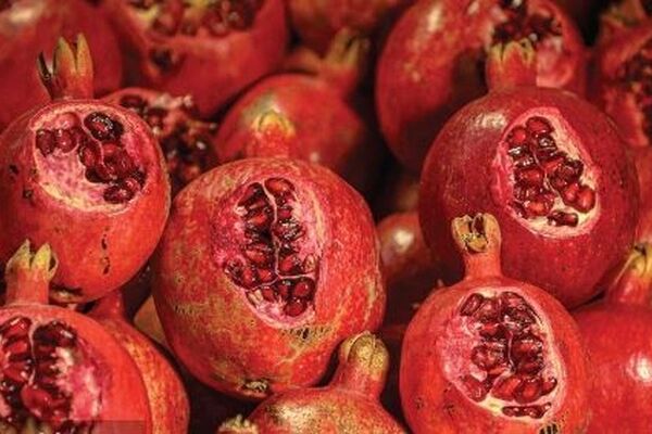 قیمت امروز میوه و تره بار در مشهد/ انار به بازار آمد