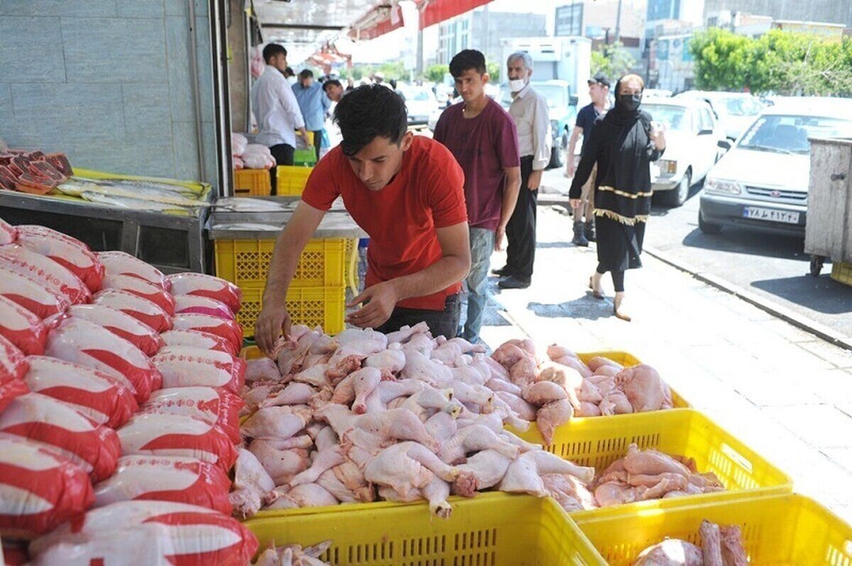 ۸۰ هزار تن ذخیره گوشت و مرغ در سردخانه‌های کشور موجود است