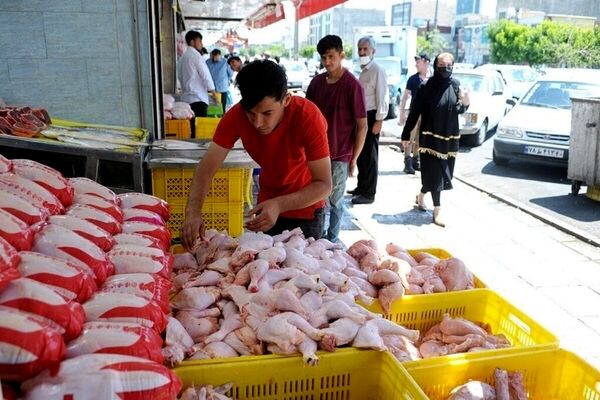 ۸۰ هزار تن ذخیره گوشت و مرغ در سردخانه‌های کشور موجود است