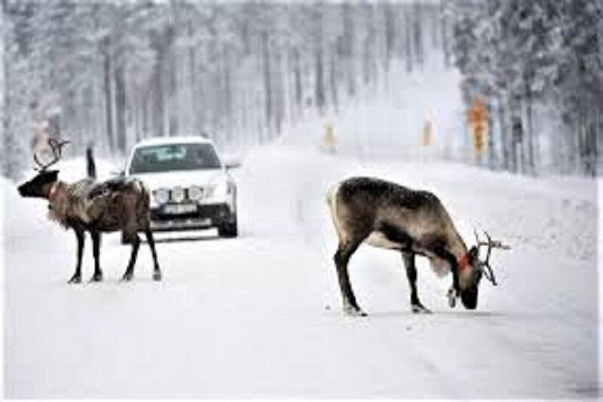 آماده‌باش کامل دستگاه‌های خدمات‌رسان در طرقبه و شاندیز / تردد در تمامی مسیرها بدون محدودیت
