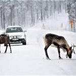 آماده‌باش کامل دستگاه‌های خدمات‌رسان در طرقبه و شاندیز / تردد در تمامی مسیرها بدون محدودیت
