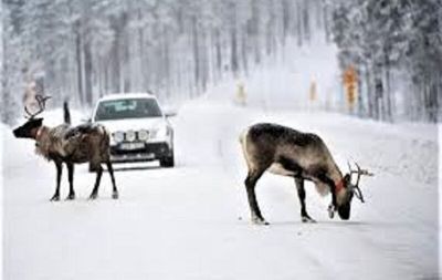 آماده‌باش کامل دستگاه‌های خدمات‌رسان در طرقبه و شاندیز / تردد در تمامی مسیرها بدون محدودیت
