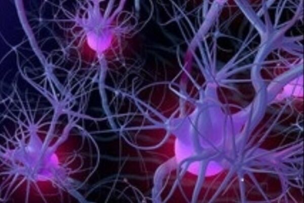 طراحی دستگاه ثبت سیگنال‌های عصبی در دانشگاه فردوسی مشهد