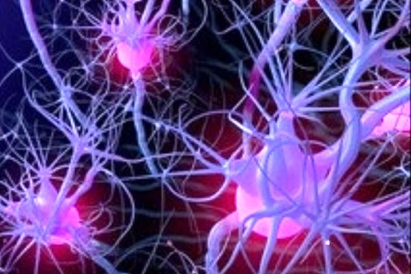 طراحی دستگاه ثبت سیگنال‌های عصبی در دانشگاه فردوسی مشهد