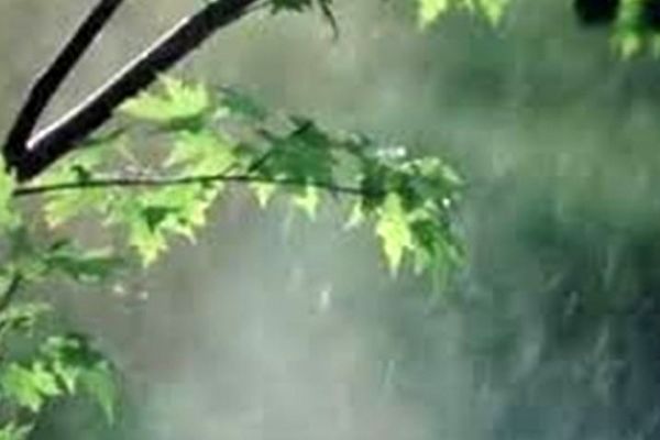 کیفیت هوای مشهد سالم است