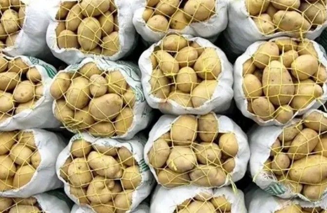 در میانه جنگ، وضعیت سیب‌زمینی کاملا جنگی شد!