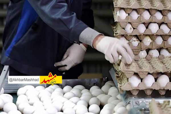 عرضه تخم مرغ فاقد «نشانه گذاری» در خراسان رضوی ممنوع می‌شود 