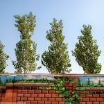 اسکان بیش از ۱۱ هزار نفر از زائران در مدارس خراسان رضوی (۵ فروردین ۱۴۰۵)