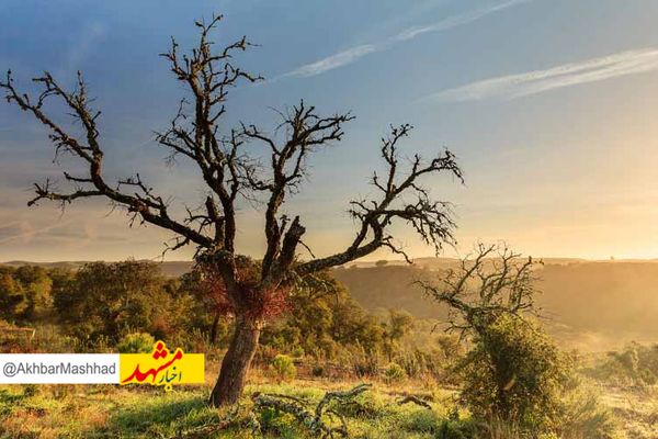 تداوم پاییز خشک در ایران/‌ بارش‌های ناچیز حوضه‌های آبریز تا پایان هفته آینده