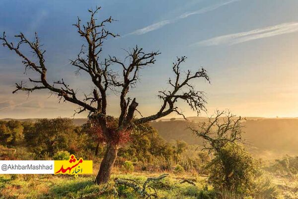تداوم پاییز خشک در ایران/‌ بارش‌های ناچیز حوضه‌های آبریز تا پایان هفته آینده