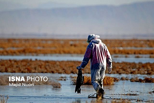 آنفولانزاي پرندگان تاكنون در نيشابور ديده نشده است