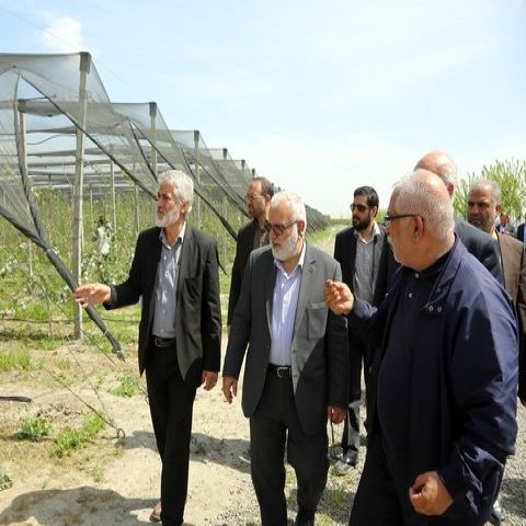 اقتصاد مقاومتی با حمایت از تولیدکنندگان و جلوگیری از واردات محقق خواهد شد