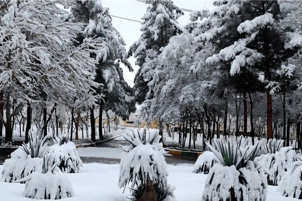 هوای مشهد پاک شد