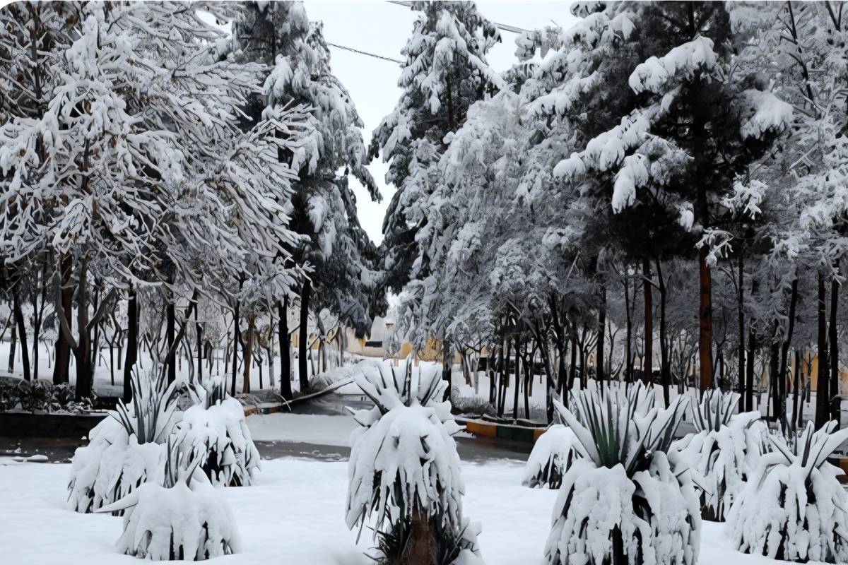 هوای مشهد پاک شد