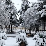 هوای مشهد پاک شد