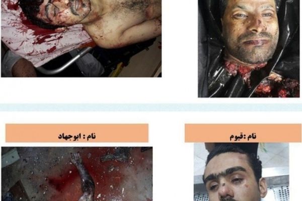 میانگین سن تروریست‌ها چند سال بود؟