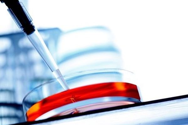 عدم حمایت‌ مالی معاونت علمی ازطرح تولیدپوست مصنوعی زنده/ارائه مجدد طرح در کنگره سلول‌های بنیادی