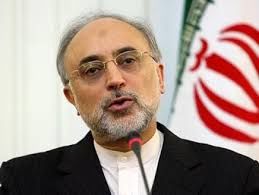 صالحی: آیا کشور ملک شخصی من بوده که در مذاکرات برای آن شخصا تعیین تکلیف کنم؟