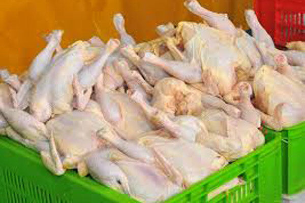 گرمای هوا علت گرانی گوشت مرغ است/توزیع مرغ منجد برای تنظیم بازار