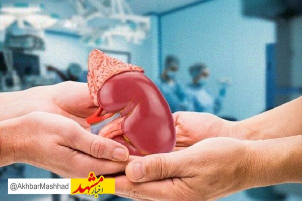 اهدای عضو بانوی مرگ مغزی مشهدی نجات‌بخش جان چهار بیمار نیازمند عضو شد