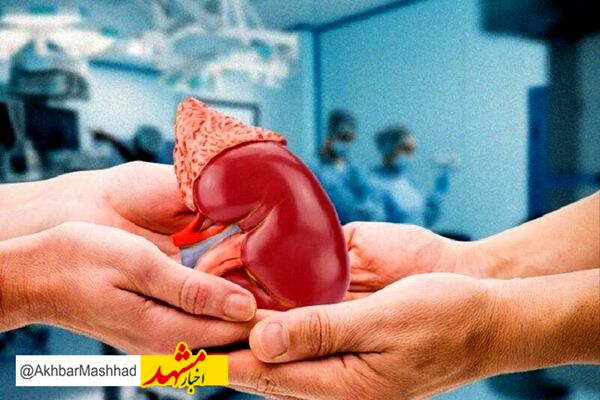 اهدای عضو بانوی مرگ مغزی مشهدی نجات‌بخش جان چهار بیمار نیازمند عضو شد