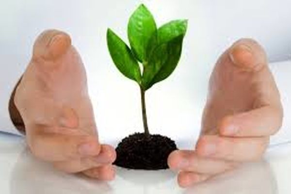 نقش ضروری بیمه ها در کاهش تصادفات