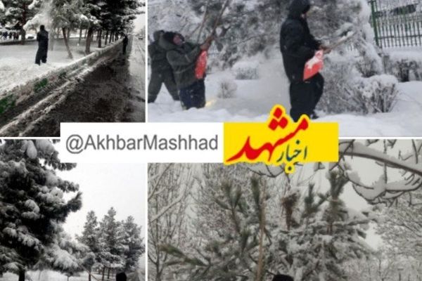  انجام برف تکانی درختان توسط ۵۰۰ نفر نیروی فضای سبز