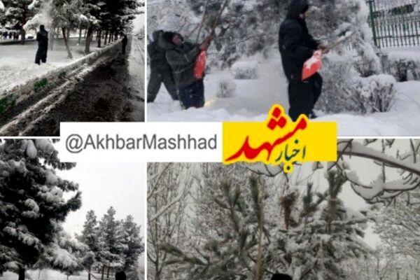  انجام برف تکانی درختان توسط ۵۰۰ نفر نیروی فضای سبز